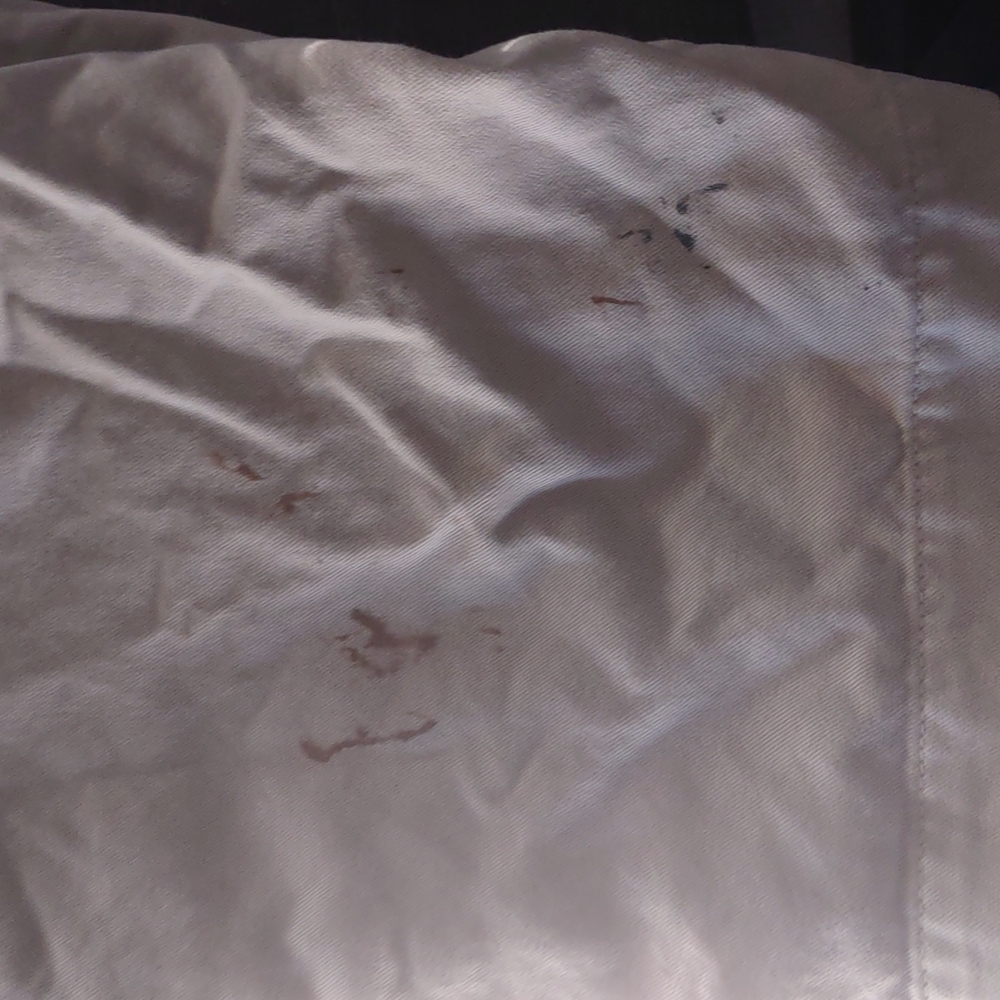 Shorts - Picture 5 of 5